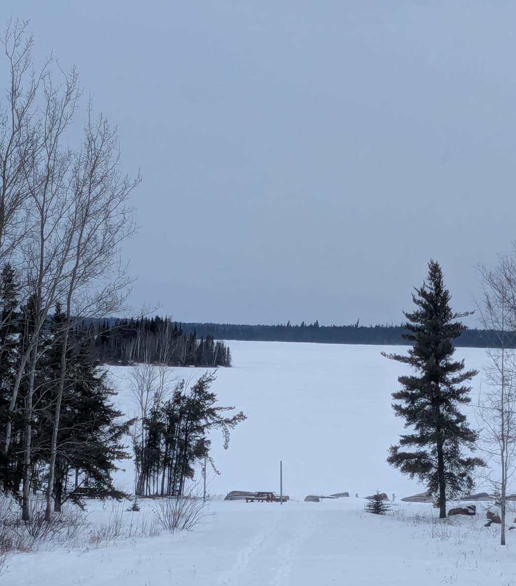 an image alt text
